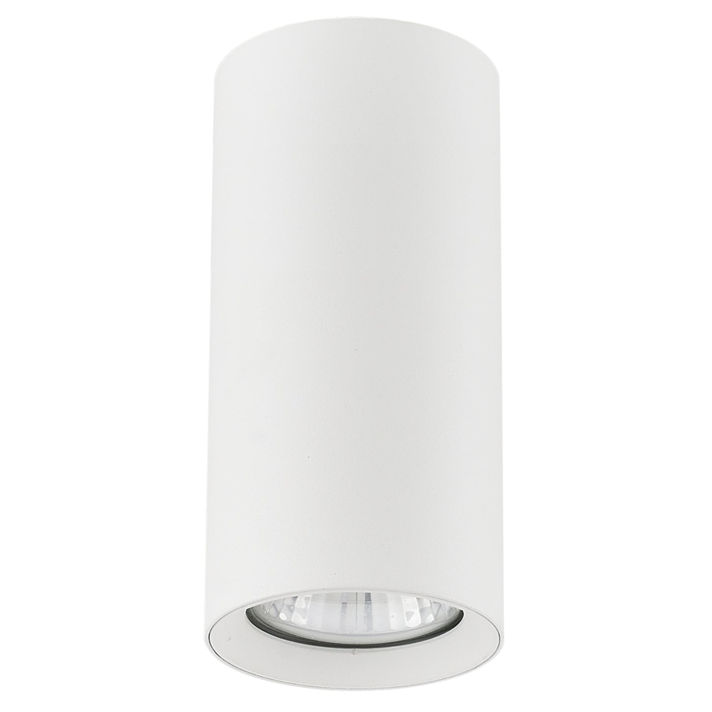 CEILING LAMP SPOT ARTEMIS M White 1 x GU10