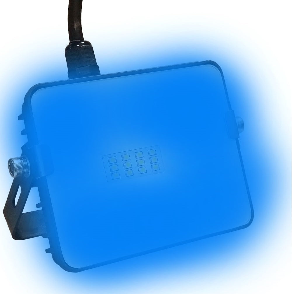 10W Slimline Blue Flood Light | Outdoor LED | 120° Beam - CLEARANCE