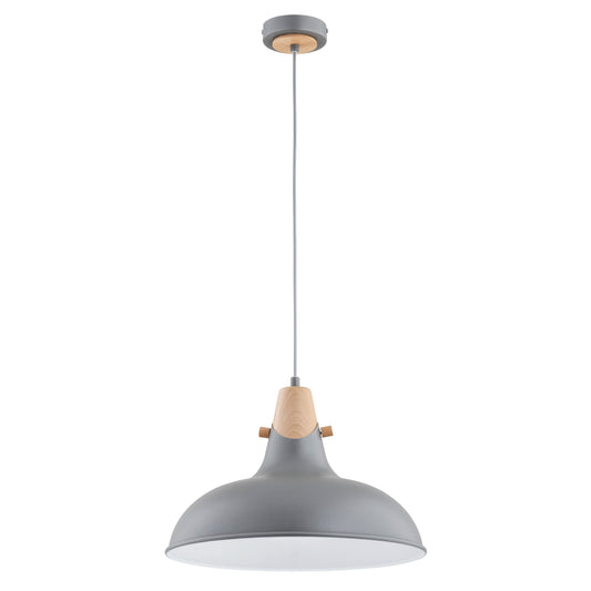 PENDANT LAMP ALFA SOLO Silver 1 x E27