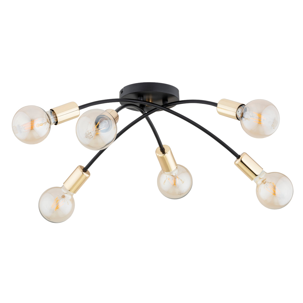 CEILING LAMP ALFA LENSI MA x  Black & Gold 6 x E27