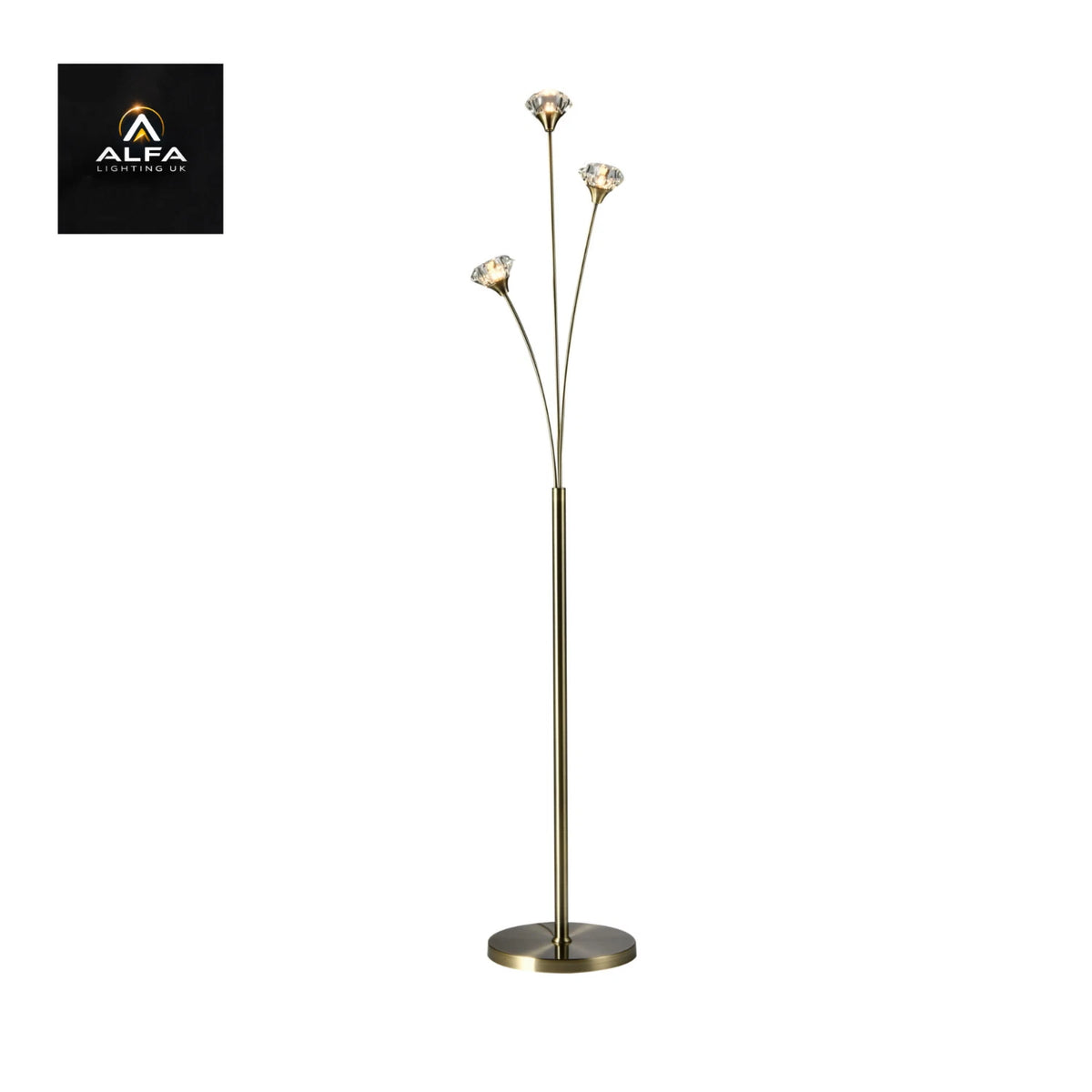 Bravo Lighting | BL12820 | RADLEY | 3 Light Floor Lamp | Antique Brass - CLEARANCE